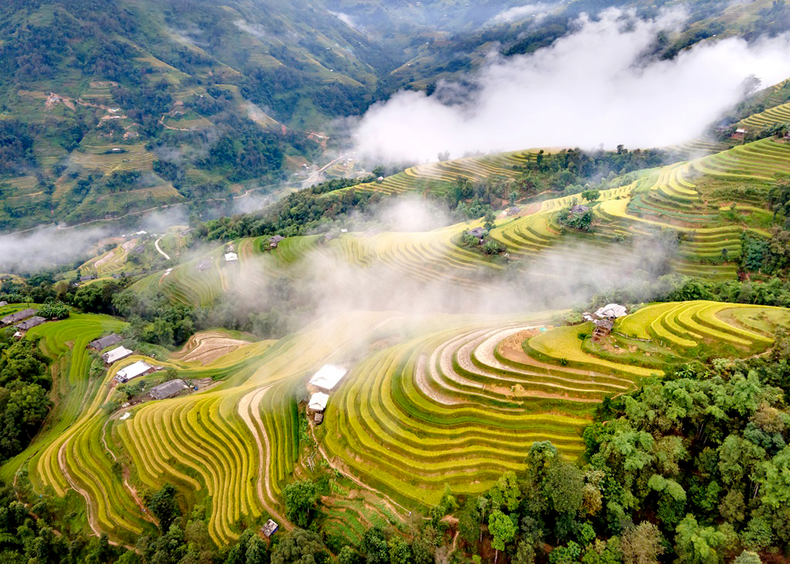 SaPa